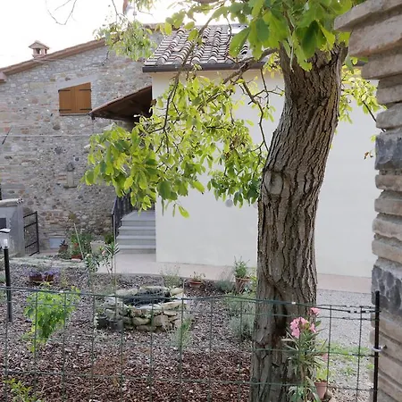Apartamento Il Noce