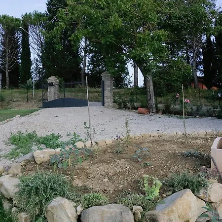 Il Noce